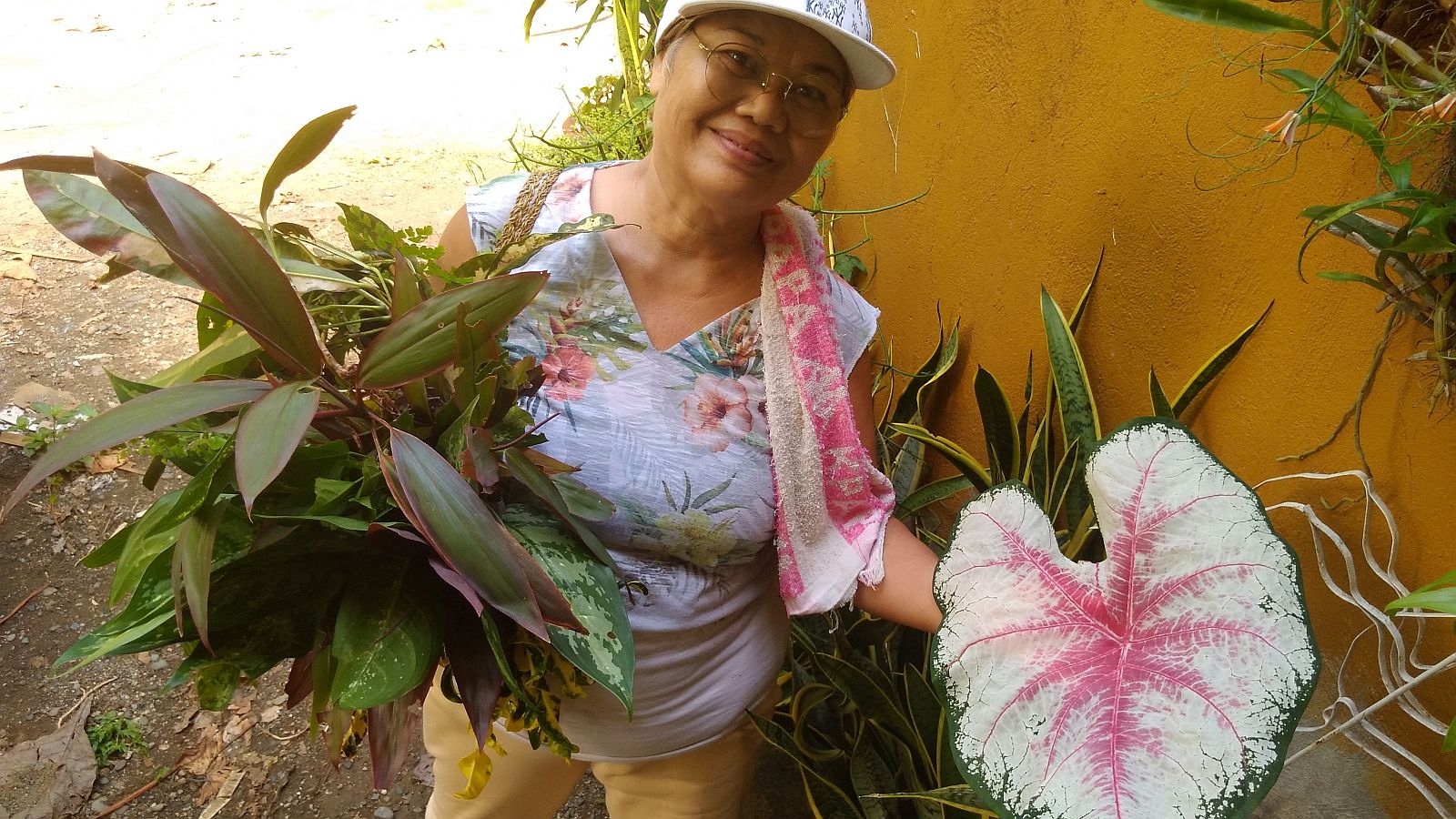 Lola Gerlinda's Hobby - Plants & Flowers