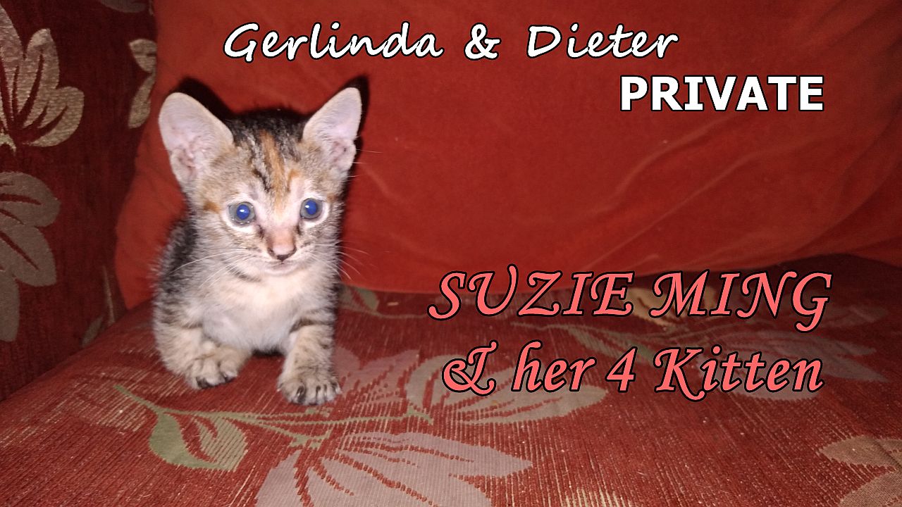 Gerlinda & Dieter private - VIDEO - SUZIE MING & her 4